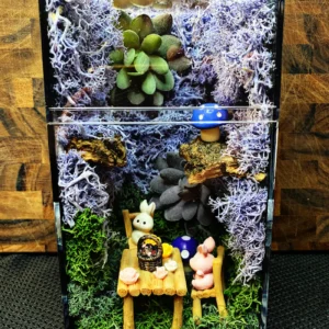 Custom Jumping Spider Enclosure