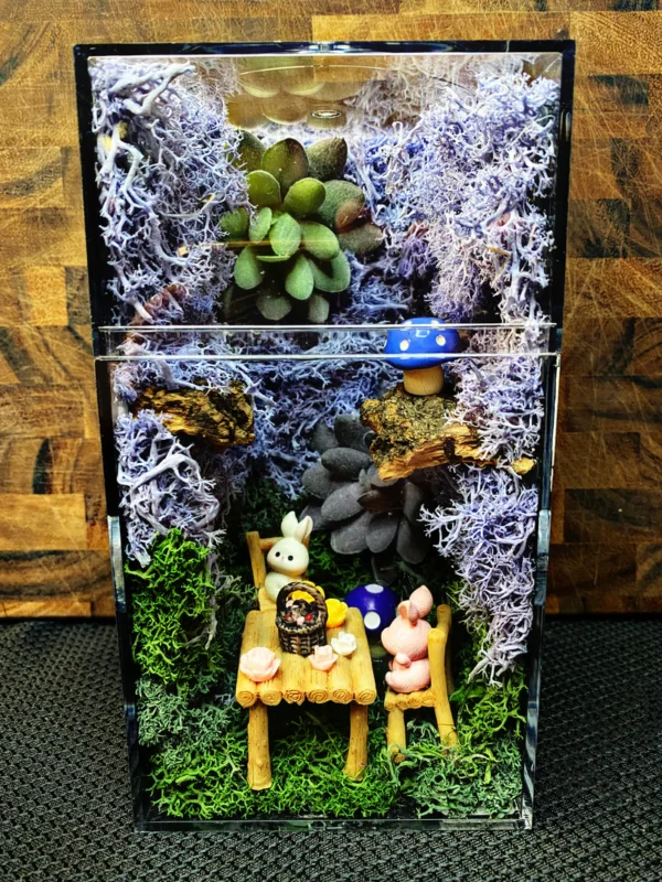 Custom Jumping Spider Enclosure