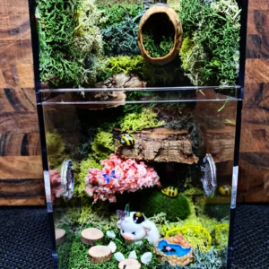 Custom Jumping Spider Enclosure