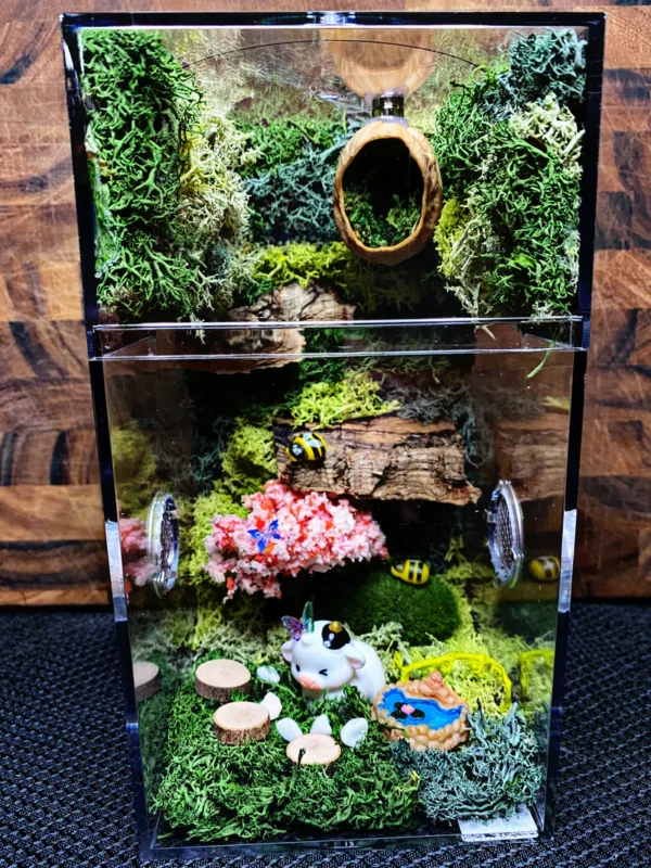 Custom Jumping Spider Enclosure
