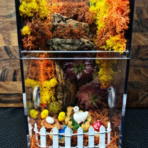 Custom Jumping Spider Enclosure