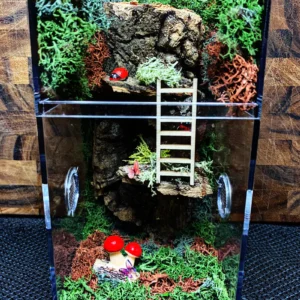 Custom Jumping Spider Enclosure
