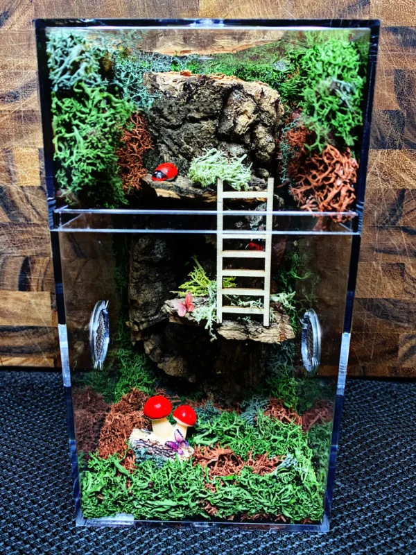 Custom Jumping Spider Enclosure
