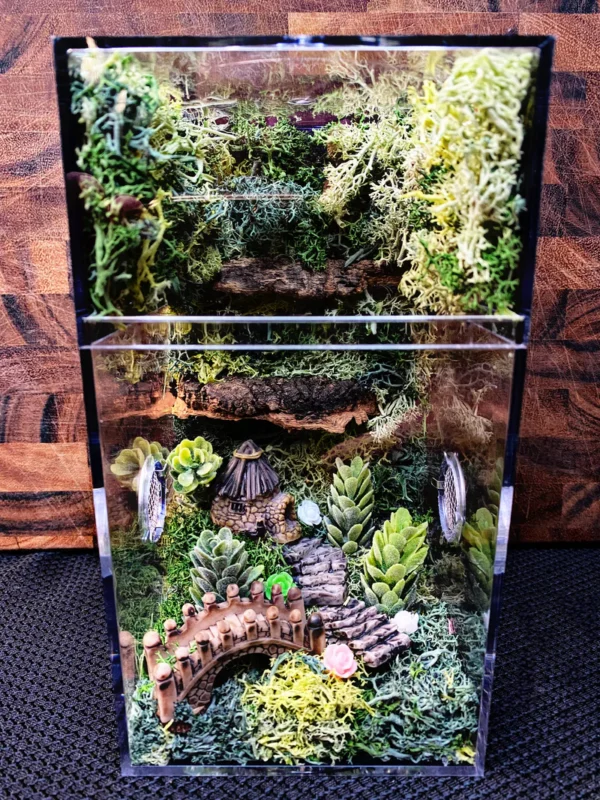 ~Fairy Lights~ Custom Jumping Spider Enclosure - Image 2