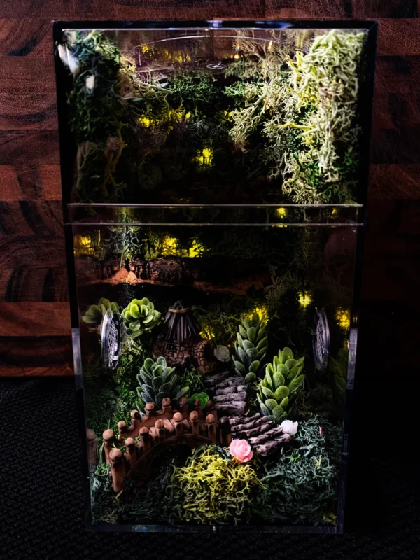 ~Fairy Lights~ Custom Jumping Spider Enclosure