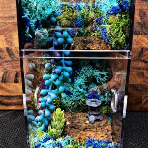 Custom Jumping Spider Enclosure