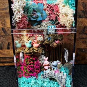 Custom Jumping Spider Enclosure