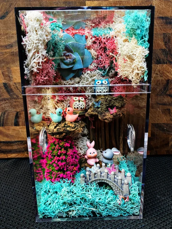 Custom Jumping Spider Enclosure