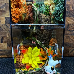Custom Jumping Spider Enclosure