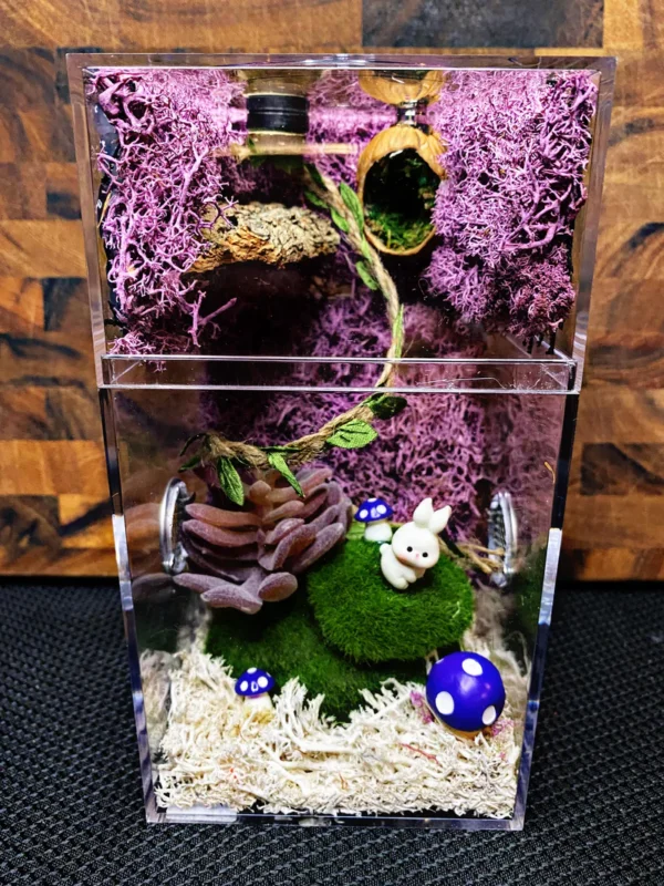 Custom Jumping Spider Enclosure